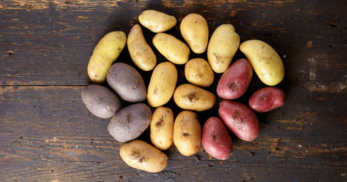 A Chaque Recette Sa Variete De Pomme De Terre