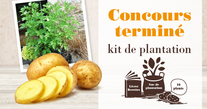 résultats concours plants 2019