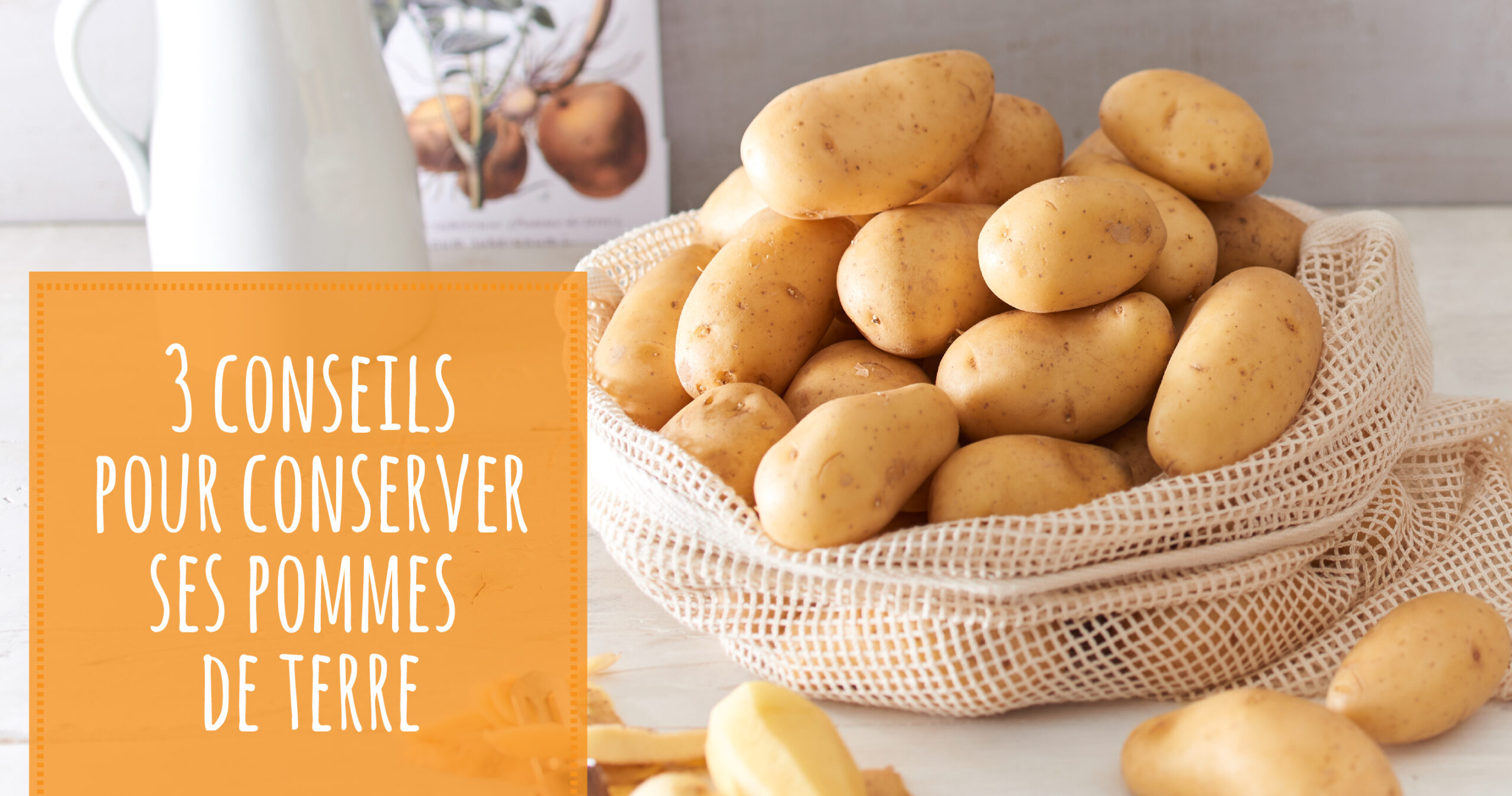 conserver pommes de terre